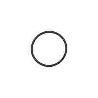 Saeco O-Ring zu Ventilkörper 2106 Silikon/Teflon